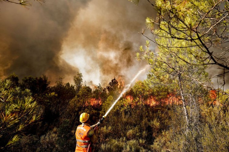 Orman yangını sayısı arttı