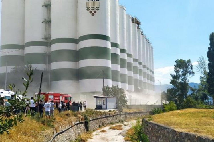 Kocaeli'deki patlamanın hububat fiyatlarını etkilemesi beklenmiyor