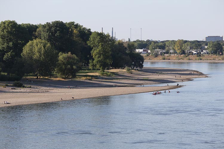 Aşırı sıcaklar Almanya'da Ren Nehri'ni kurutuyor