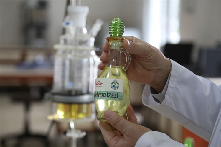 Kenevir tohumundan biyodizel üretildi