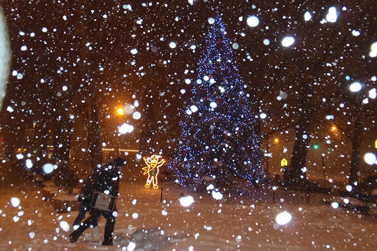 Karlar altında New York…