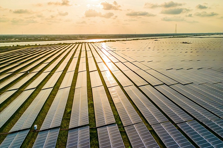 Best Brands Grup Enerji halka arzı başarıyla tamamlandı