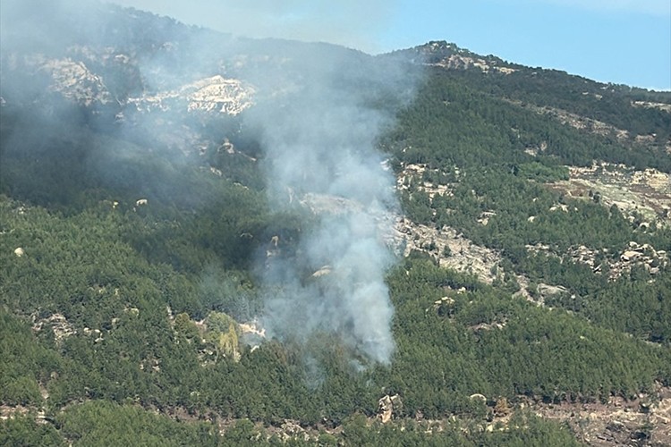 Muğla'da ormanlık alanda çıkan yangın kontrol altına alındı