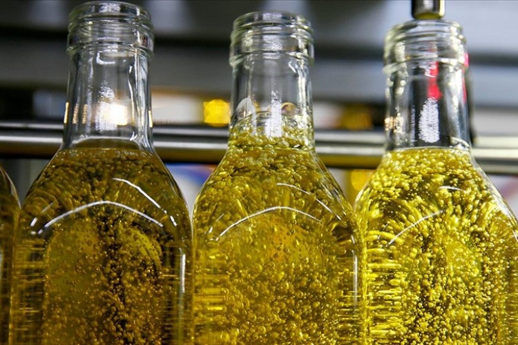 İspanya'da zeytinyağı fiyatlarının daha da artması bekleniyor