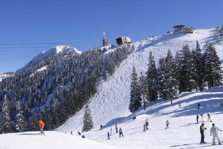 Atlı kızaklarla Romanya'nın karlı ormanlarında seyir