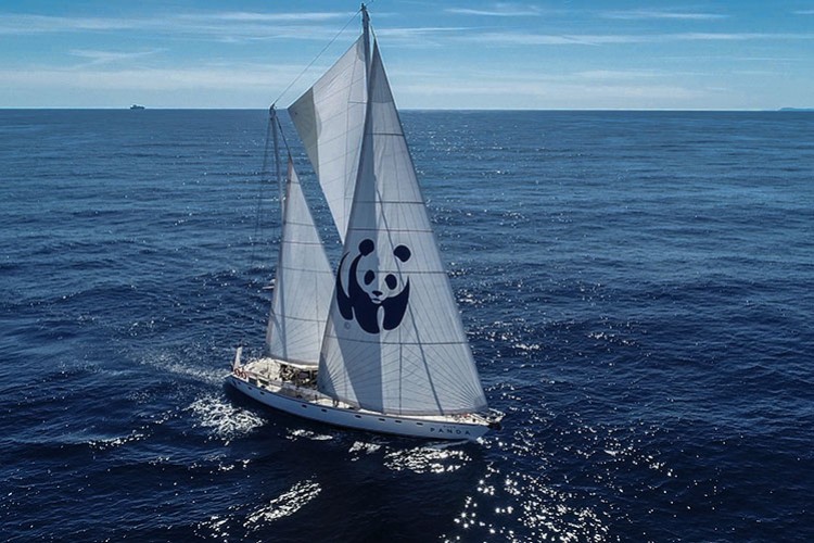 Mavi Ormanlar için Türkiye'ye Yelken Açtı