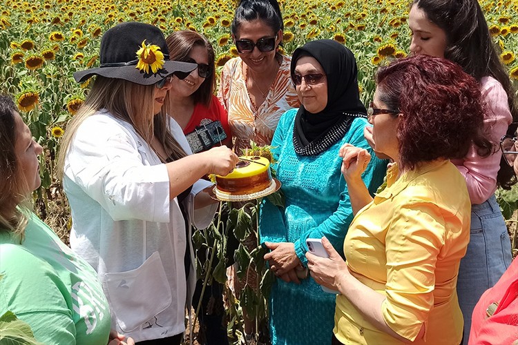 Osmaniye'de ayçiçeği tarlasında doğum günü kutlaması