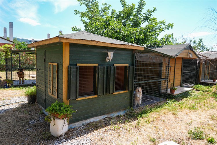 İzmir'de "can dostları" ağırlayan otel