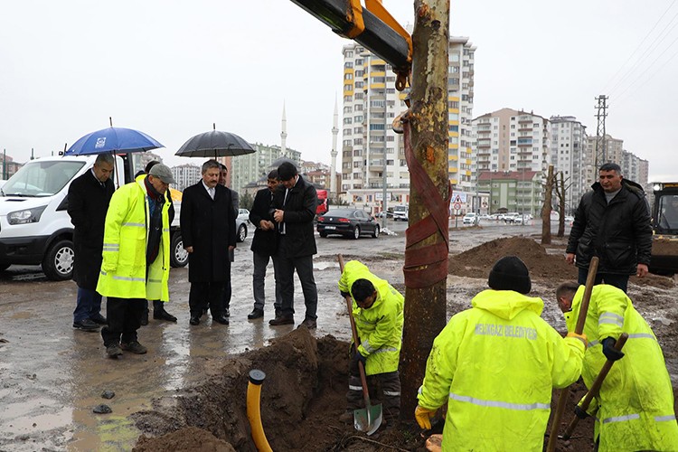 Türkiye'deki ağaç dikiminde bir ilk