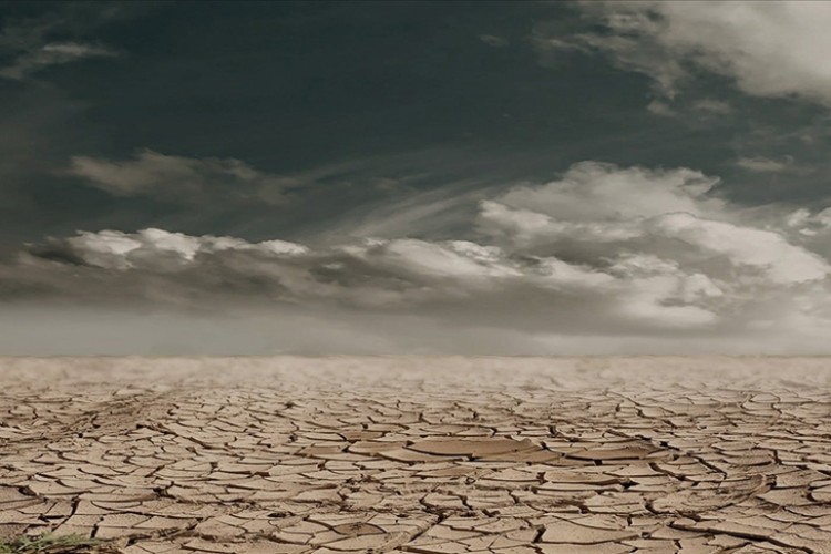 "İklim değişikliğine uyum sağlamak tercih değil, zorunluluktur"
