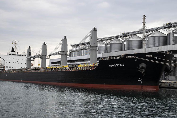 Ukrayna, tahıl ithalatını yasaklayan ülkelere dava açacak