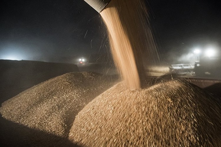 Suriye'den 20 bin ton hububat