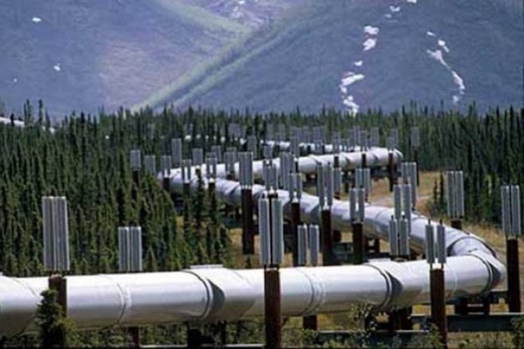 175 bin varil petrol aktı