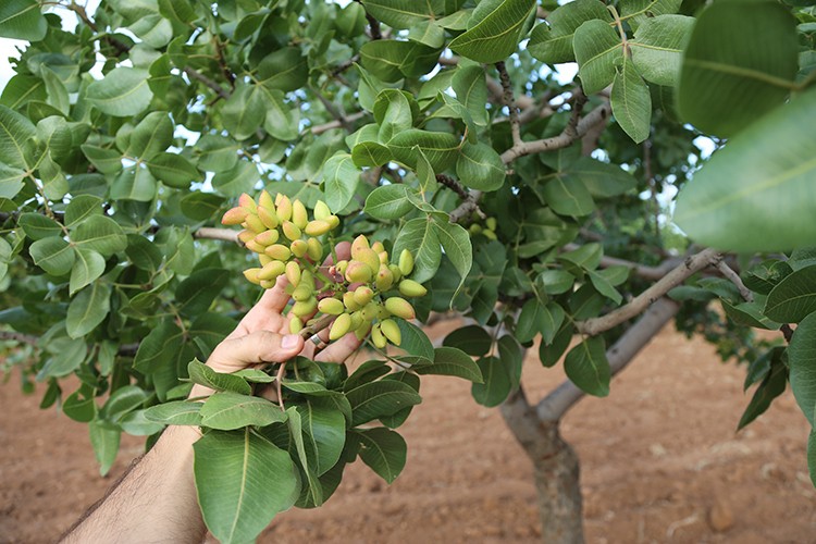Düşüş bekleniyor