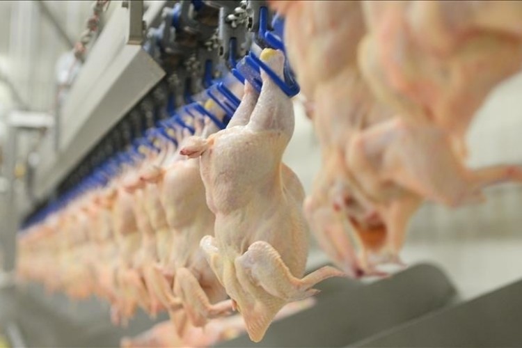 Beyaz et sektöründeki 4 firmaya 1,2 milyar lira rekabet cezası