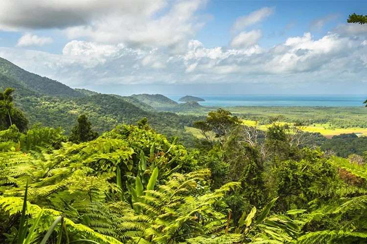 Avustralya'nın tehlikeli faunası