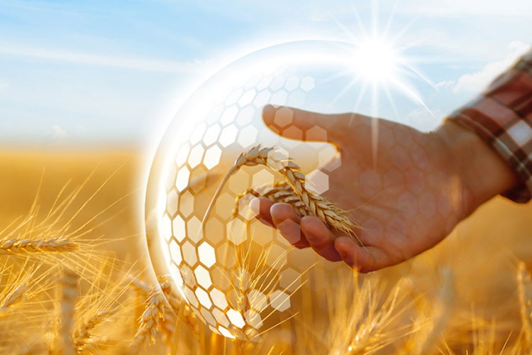 Tarım sigortaları 2025'i yeniliklerle karşılayacak