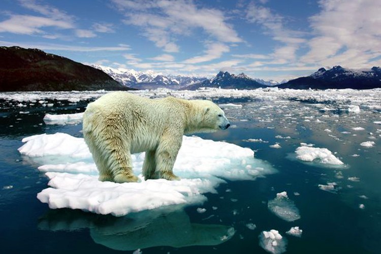 3 derece ısınmanın zararı 178 trilyon dolar