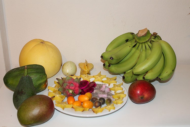 Tropikal meyveler yüz güldürdü