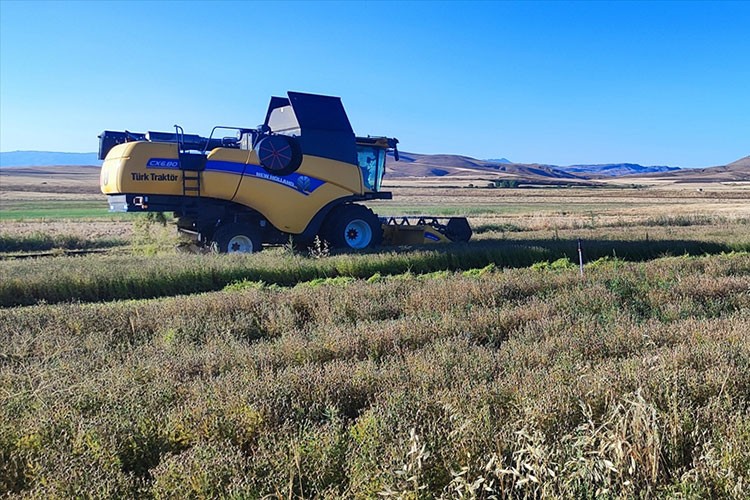 Deneme amaçlı ektiği çörek otunun hasadı yapıldı