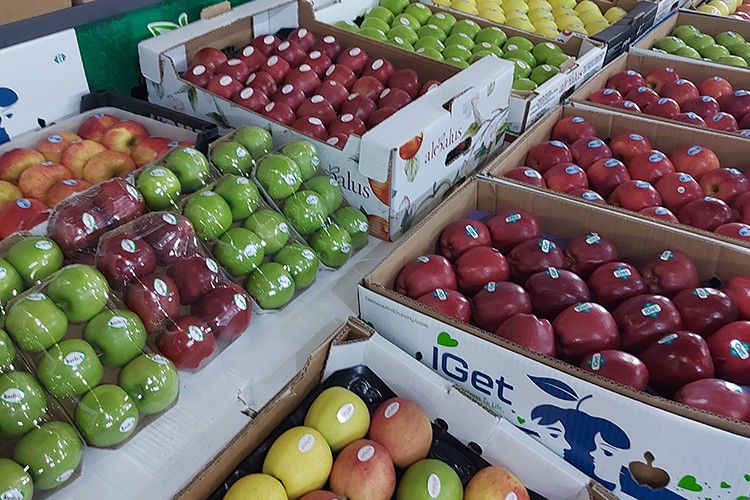 Engin Tarım sürdürülebilirlik yatırımlarına hız verdi