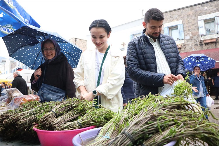 Bodrum'da "6. Acı Ot Festivali" düzenlendi