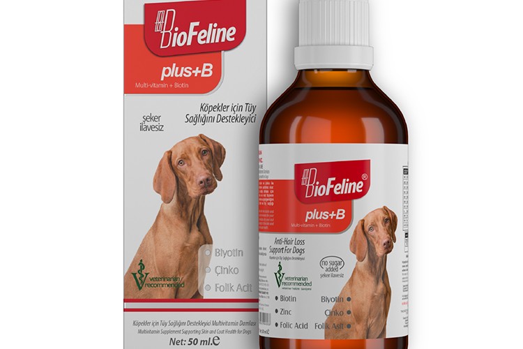 Biofeline ile Patili Dostlarınıza Güçlü Bağışıklık Sistemi