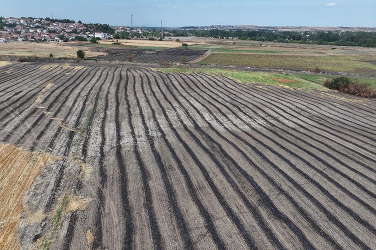 Anız yakmak toprağa zarar veriyor