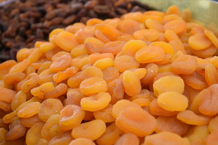 Türkiye'den 2023'te 408 milyon dolarlık kuru kayısı ihracatı