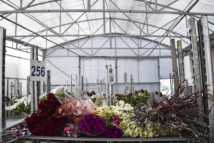 İstanbul'un çiçekçileri 14 Şubat'a hazırlanıyor