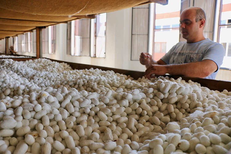 Türk ipeği kalitesiyle Asya ülkelerinden ilgi görüyor