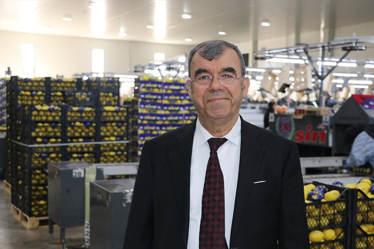 Türkiye, en fazla yaş meyve sebzeyi Irak'a gönderdi