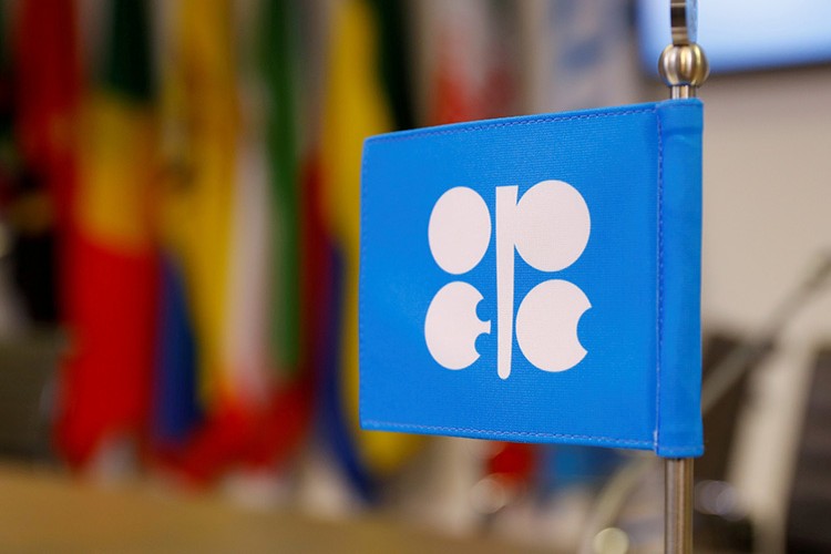 "OPEC'le işbirliği anlamını yitirdi"