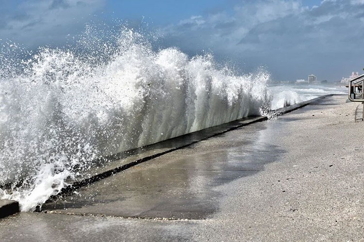 Deniz seviyesindeki değişimler canlı çeşitliliğinde etkili