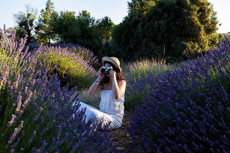 Türkiye'nin dört bBir yanında festivaller başlıyor
