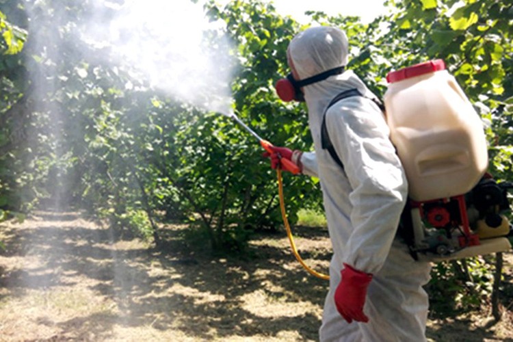 Çiftçiye gübre ve süne uyarısı