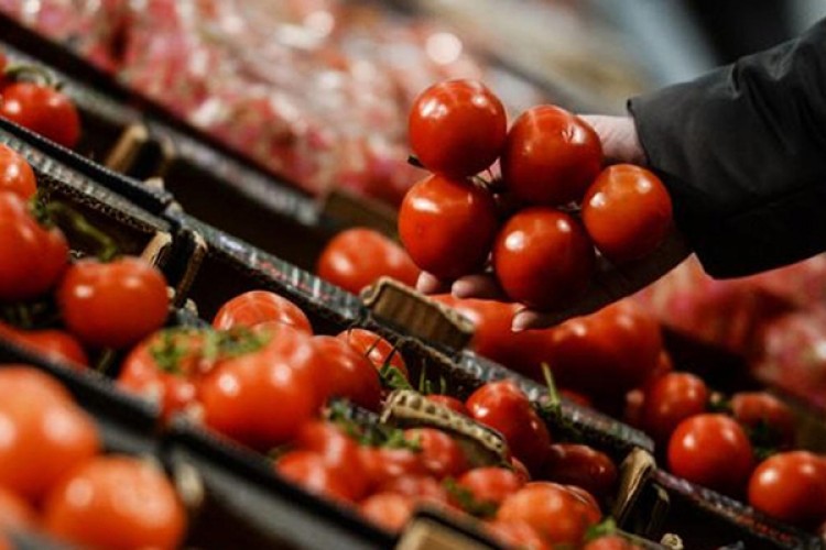 Domates ihracatı 5'e katlandı