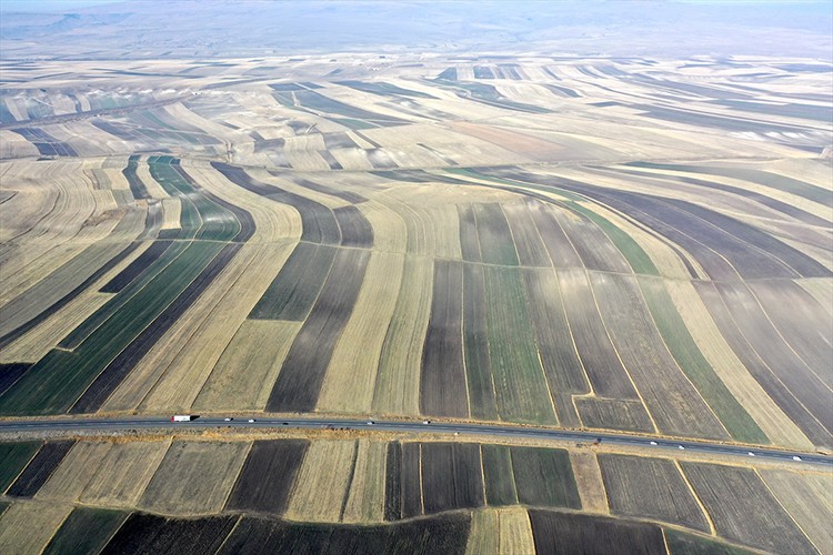 Kars Ovası'ndaki tarlalar "halı desenini" andırıyor