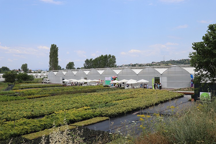 Hibe destekle sera kurdu