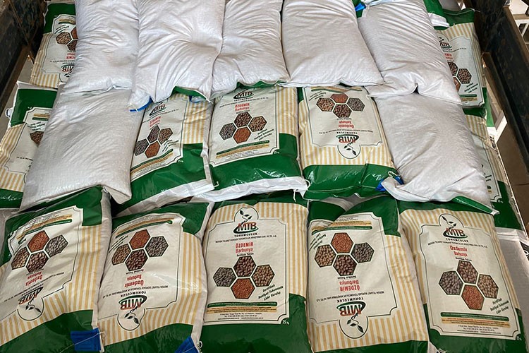 13 ton barbunya tohumu depremzede çiftçilere dağıtılacak