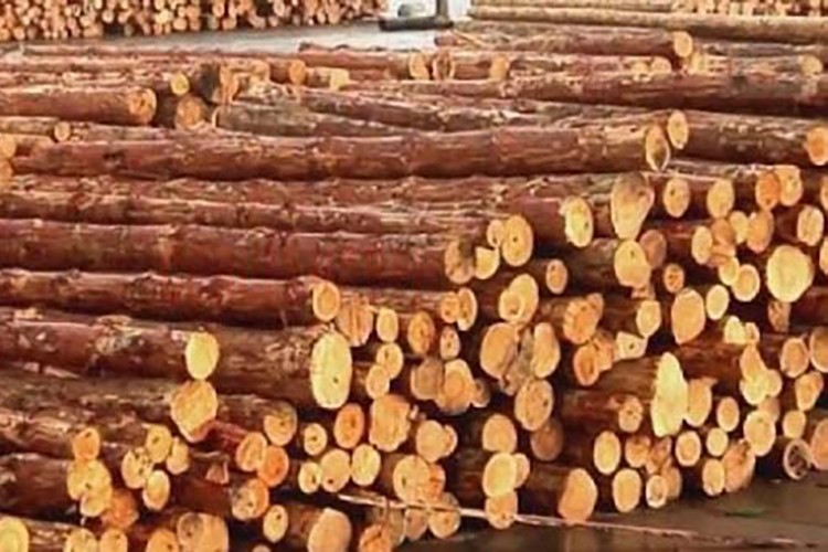 İstifleme hizmeti alınacak