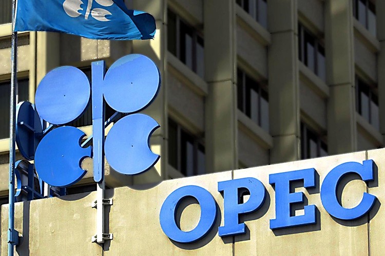 OPEC'in üretimi azaldı