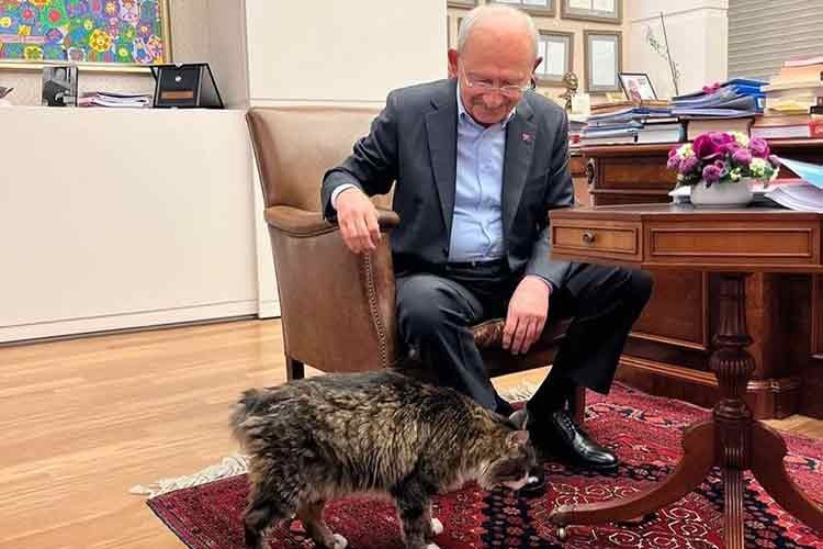 "Yaş mamayı lüks olmaktan çıkaracağım"