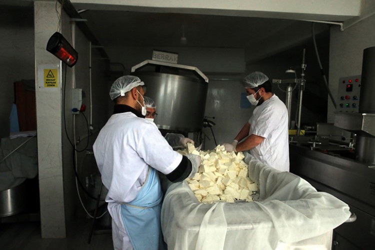 Tokat'ta beldeye kurulan süt işleme tesisi çiftçiye pazar oldu