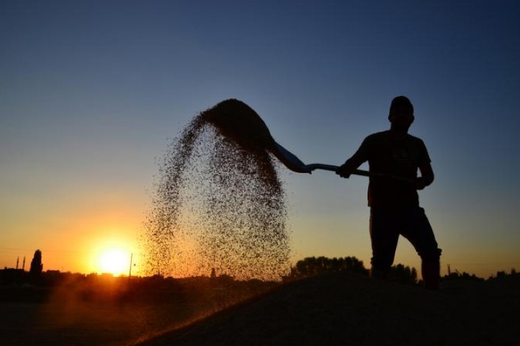 Tarım ve Orman Bakanlığı'na 1500 tarım işçisi alınacak