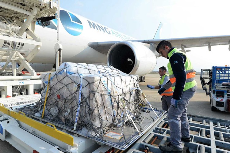 Kargo ihracatı artırdı