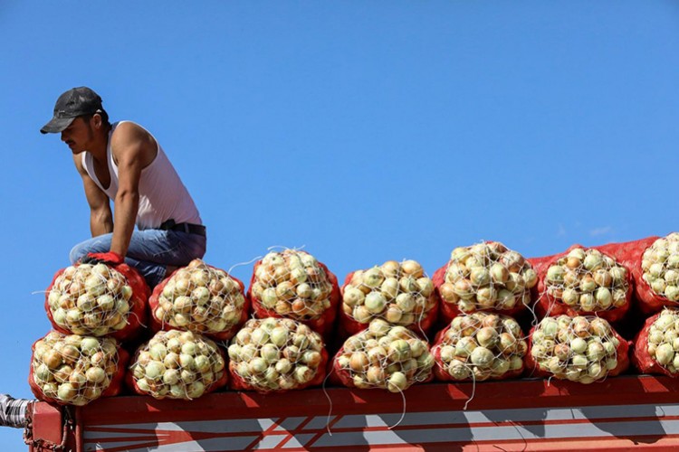 S. Arabistan'dan yurtdışı firmalara ambargo