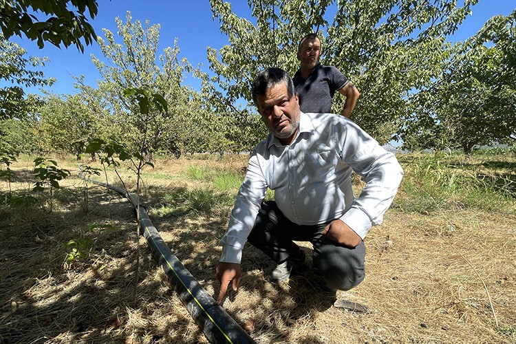 Tarla sulama hatlarına zarar verilmesiyle ilgili inceleme başlatıldı