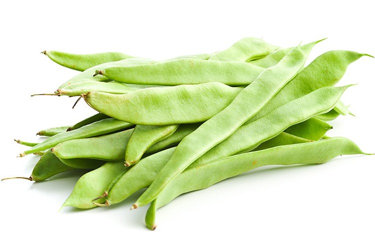 Zam şampiyonu taze fasulye