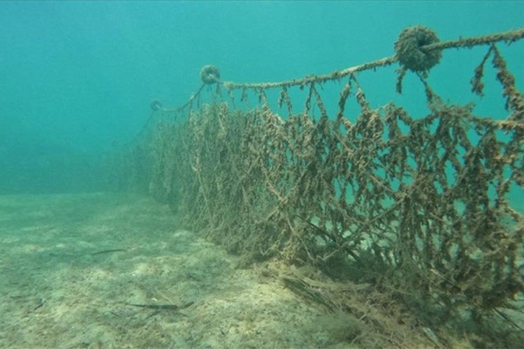Balıkçılığında farkındalığı artırmayı amaçlıyor